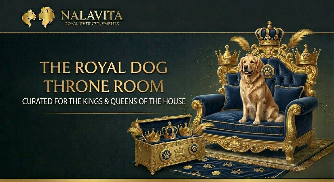 The Royal Dog Throne Room