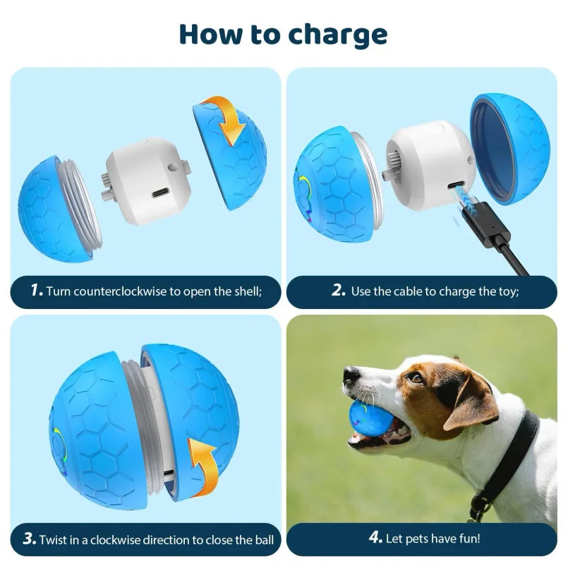 Interactive LED Dog Toy Ball