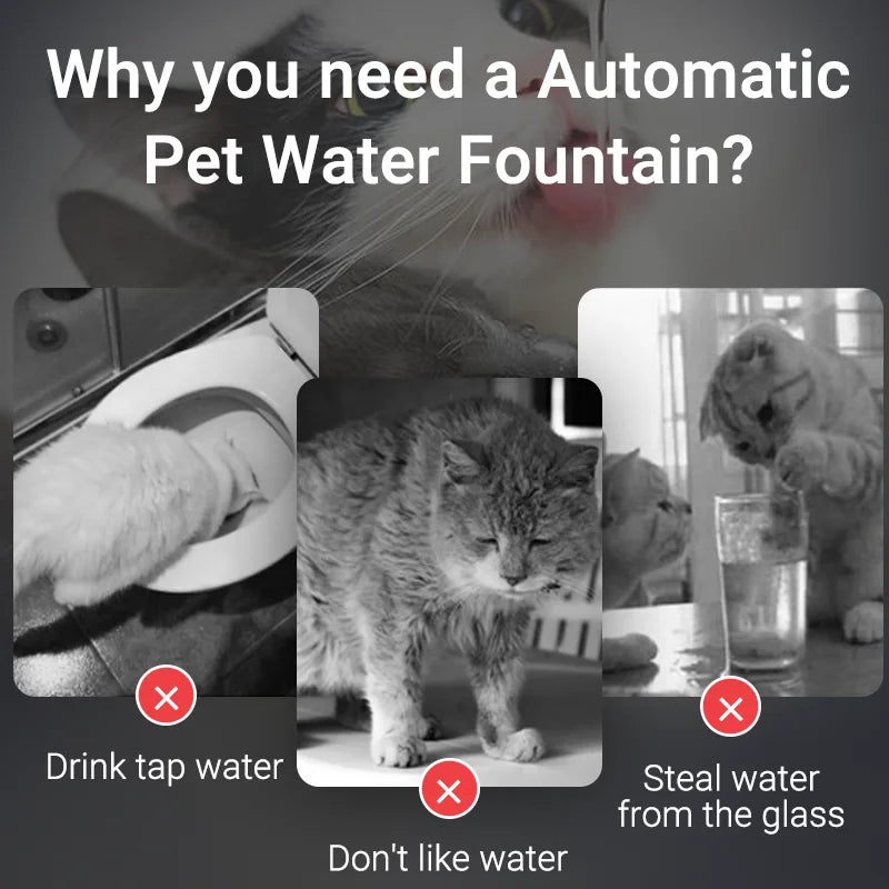 ROJECO Pet Water Fountain with Filter