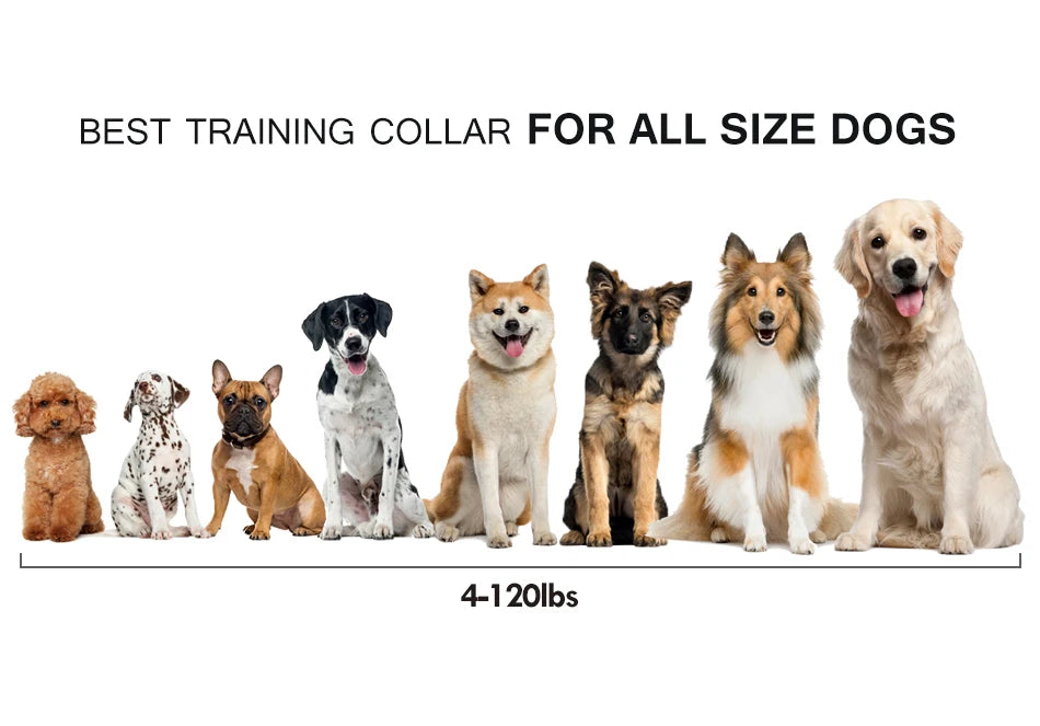 ROJECO PD529 1000m Training Collar