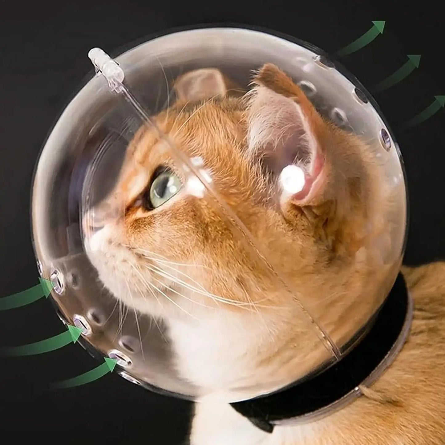 Breathable Cat Grooming Muzzle Hood