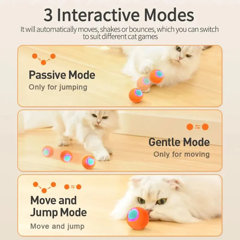 ROJECO 360 Auto-Rolling Pet Ball Toy