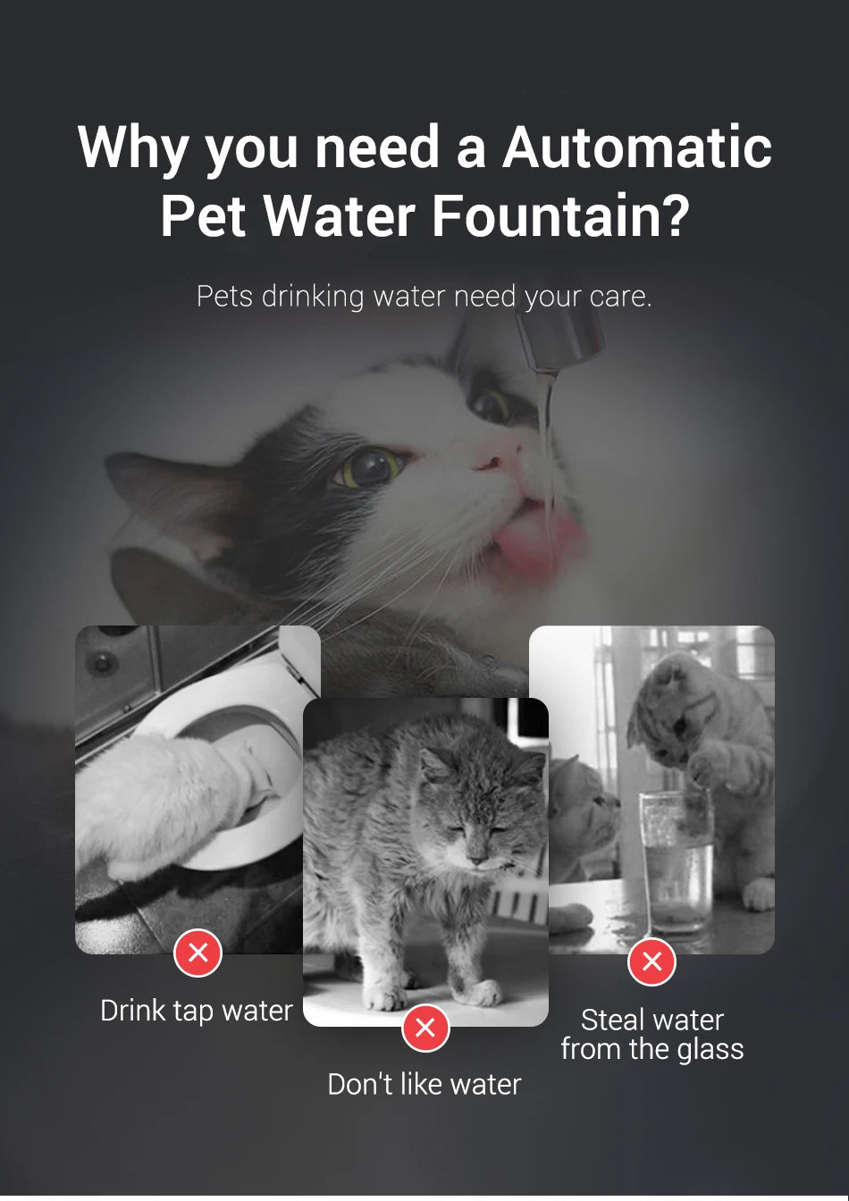 ROJECO Pet Water Fountain with Filter