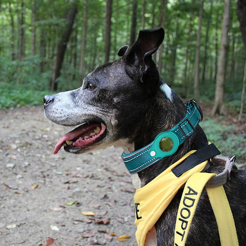 Reflective AirTag Dog Collar