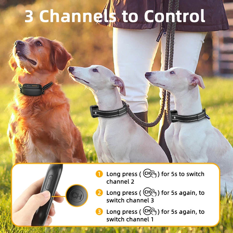 ROJECO Remote Dog Training Collar