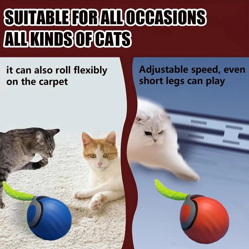 Electric Rolling Cat Ball Toy with Faux Tail