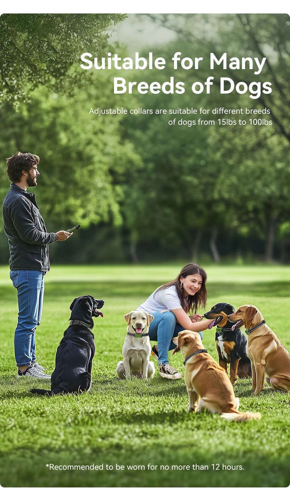 ROJECO DOG800 Training Collar