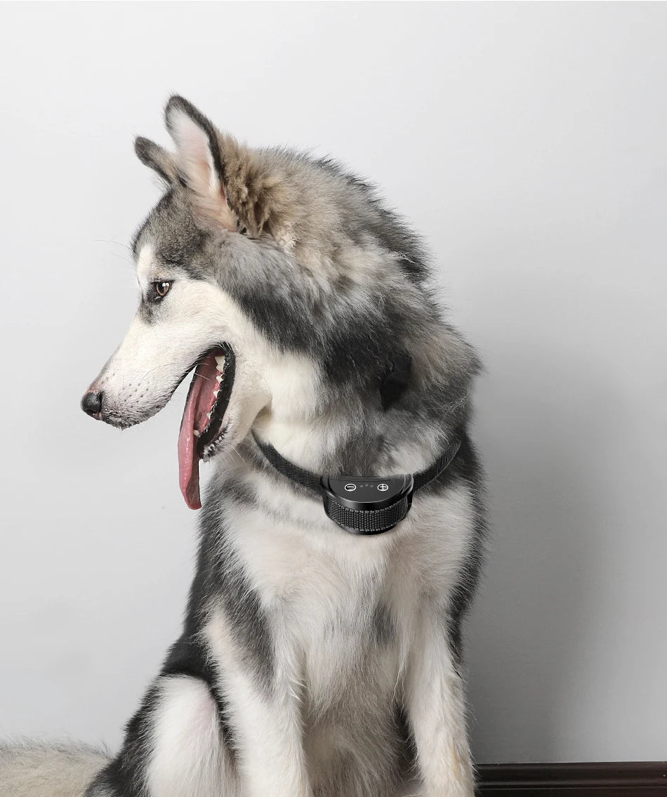 ROJECO Auto Anti-Bark Collar