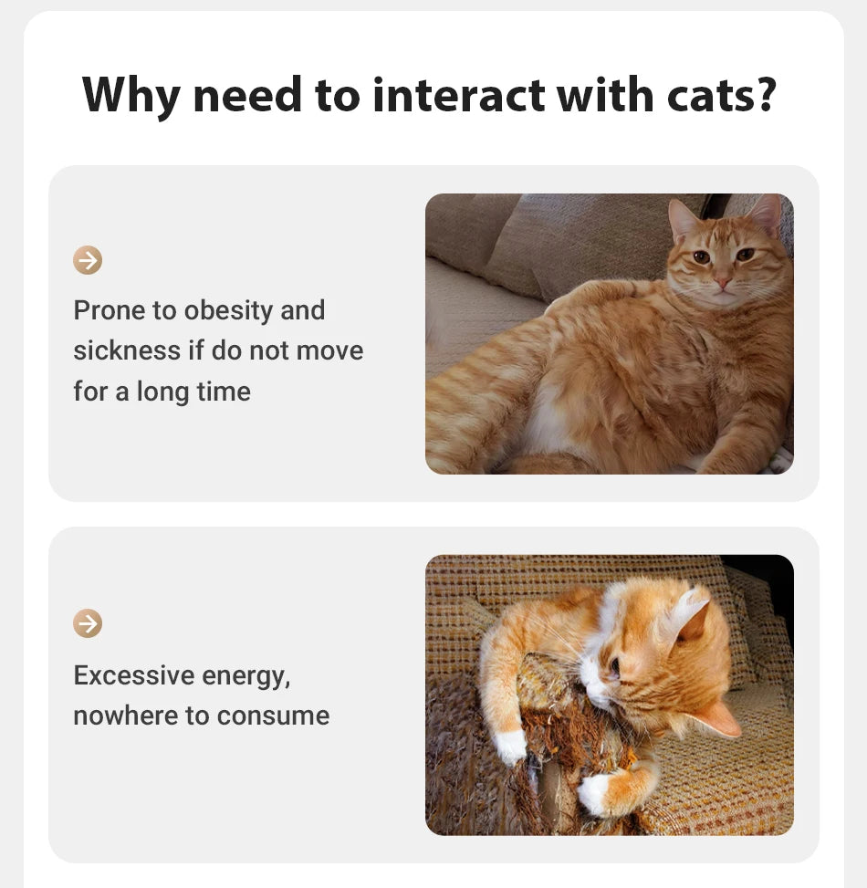 ROJECO Automatic Laser Cat Toy