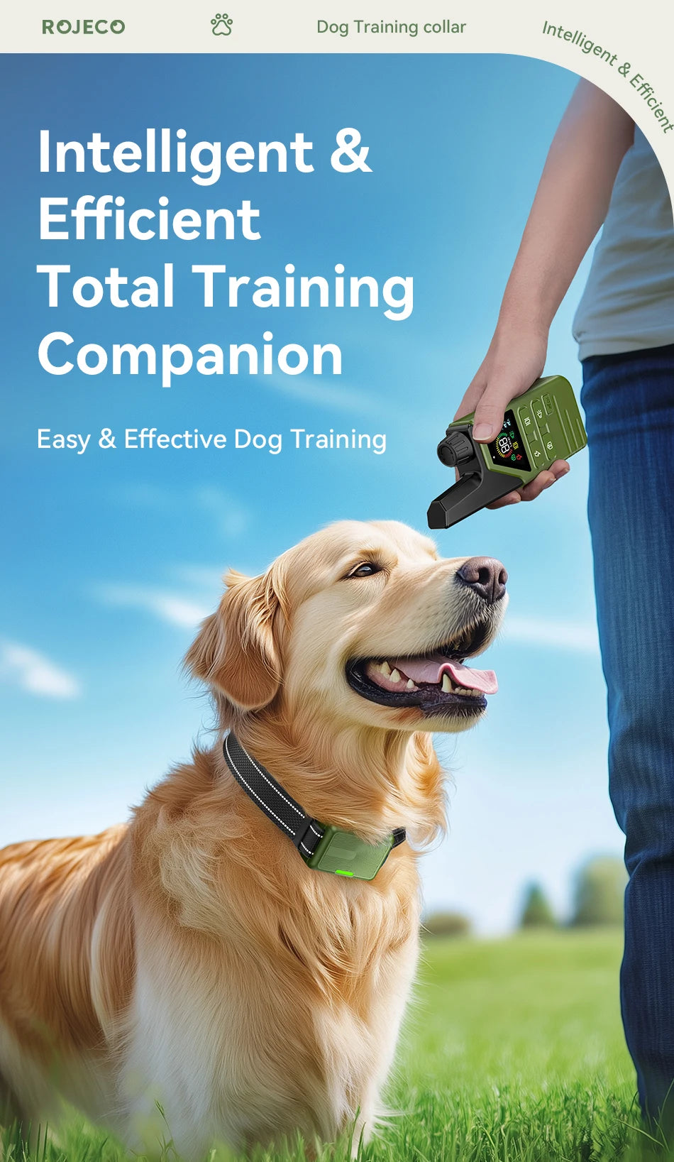 ROJECO DOG800 Training Collar