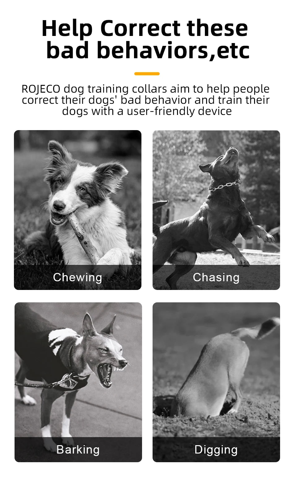 ROJECO Remote Dog Training Collar
