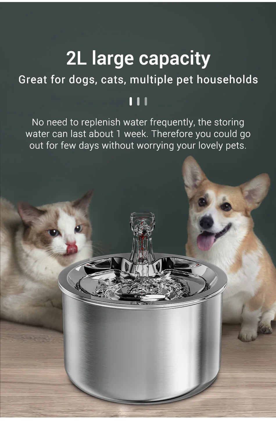 ROJECO 2L Stainless Pet Water Fountain