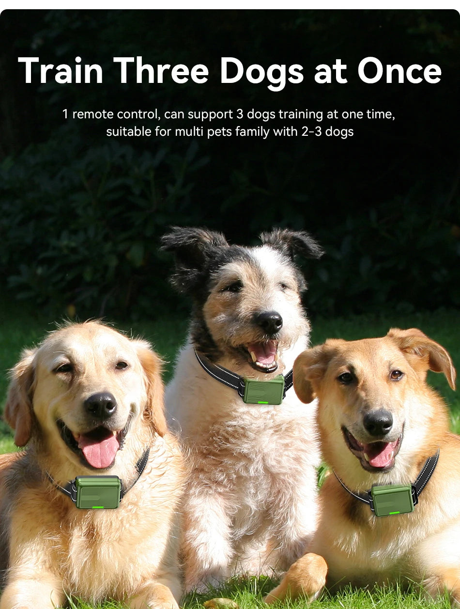 ROJECO DOG800 Training Collar