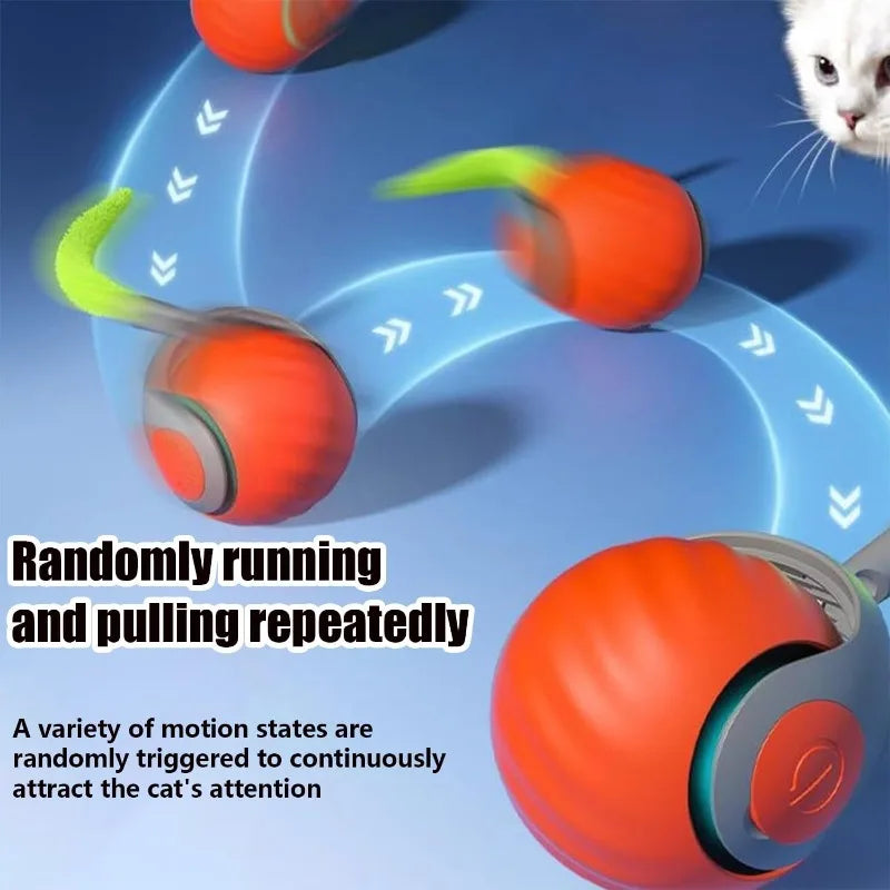 Electric Rolling Cat Ball Toy with Faux Tail