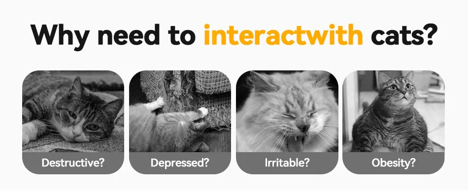 ROJECO 3-in-1 Interactive Cat Toy Set