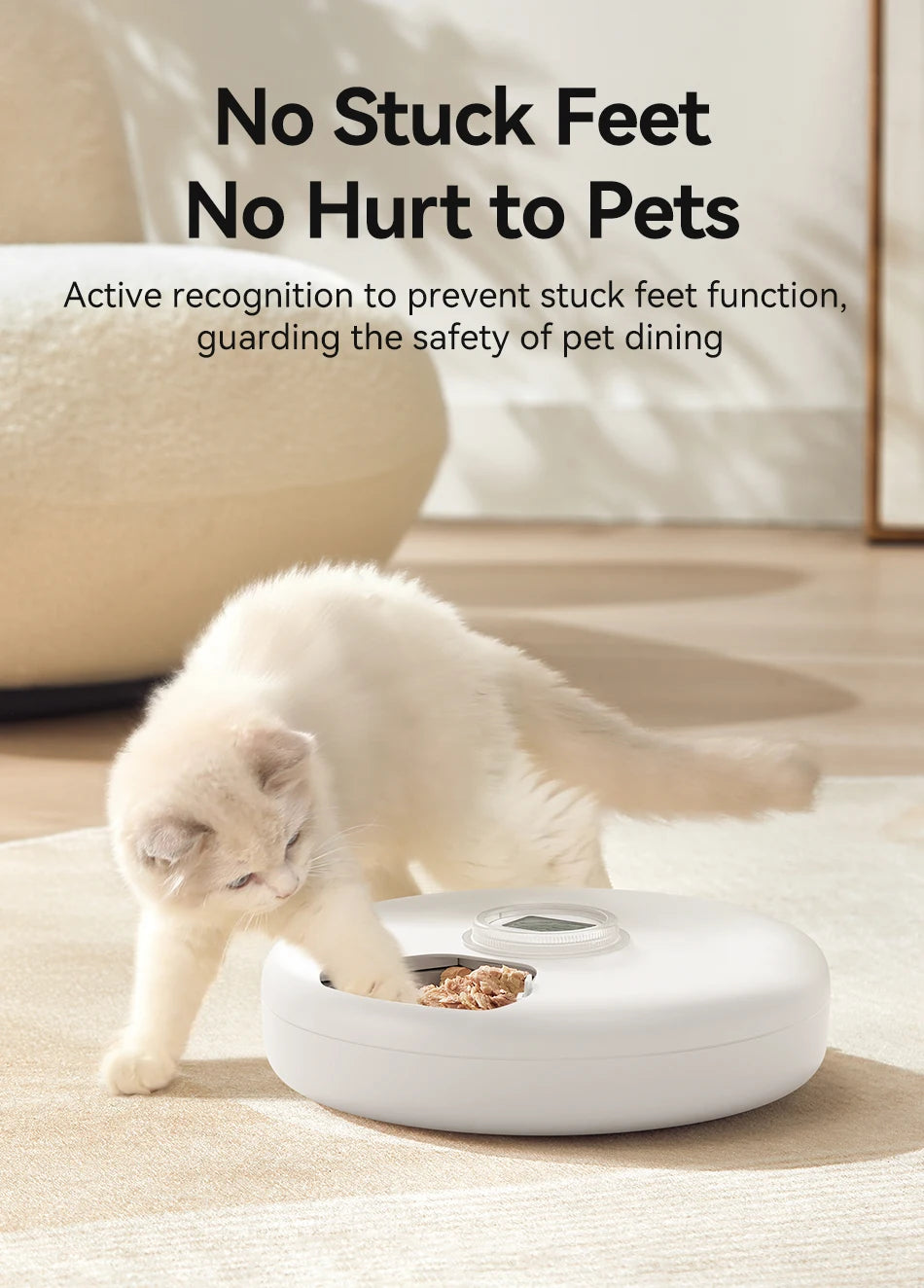 ROJECO Automatic Cat & Dog Feeder