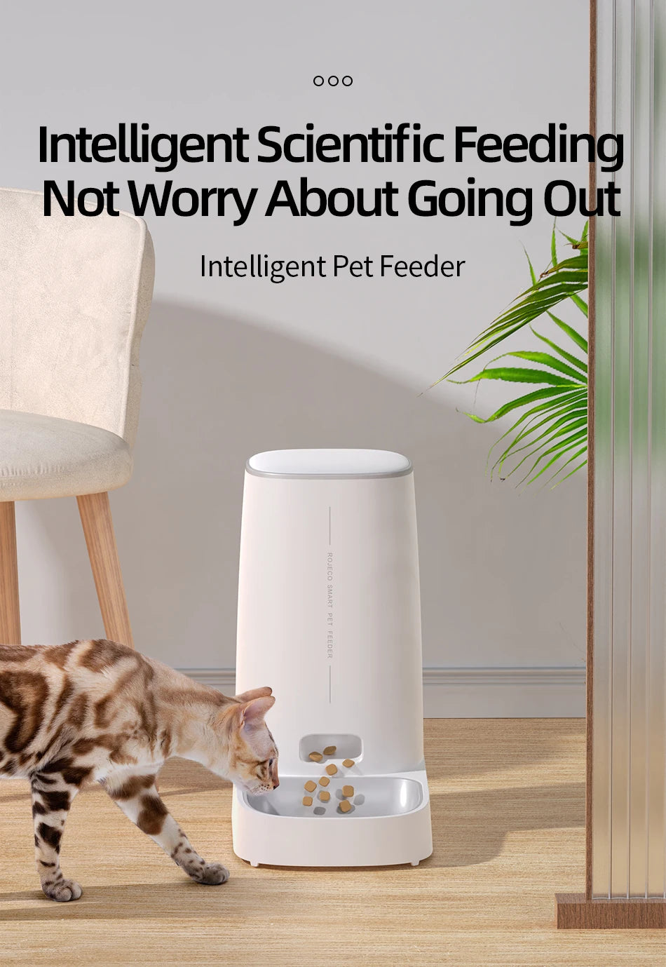 ROJECO Smart Auto Pet Feeder 4L