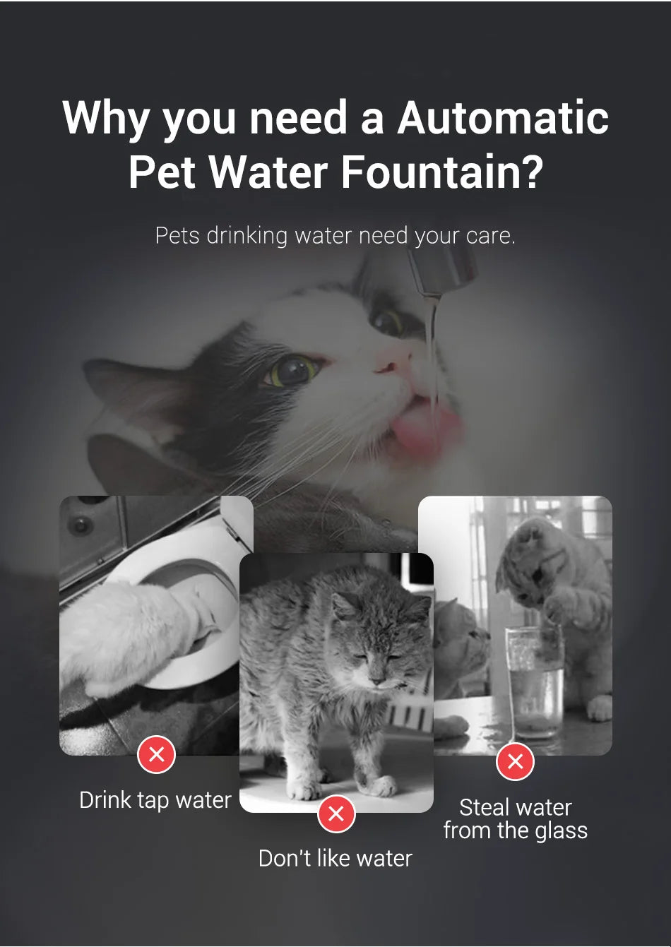 ROJECO 2L Stainless Pet Water Fountain