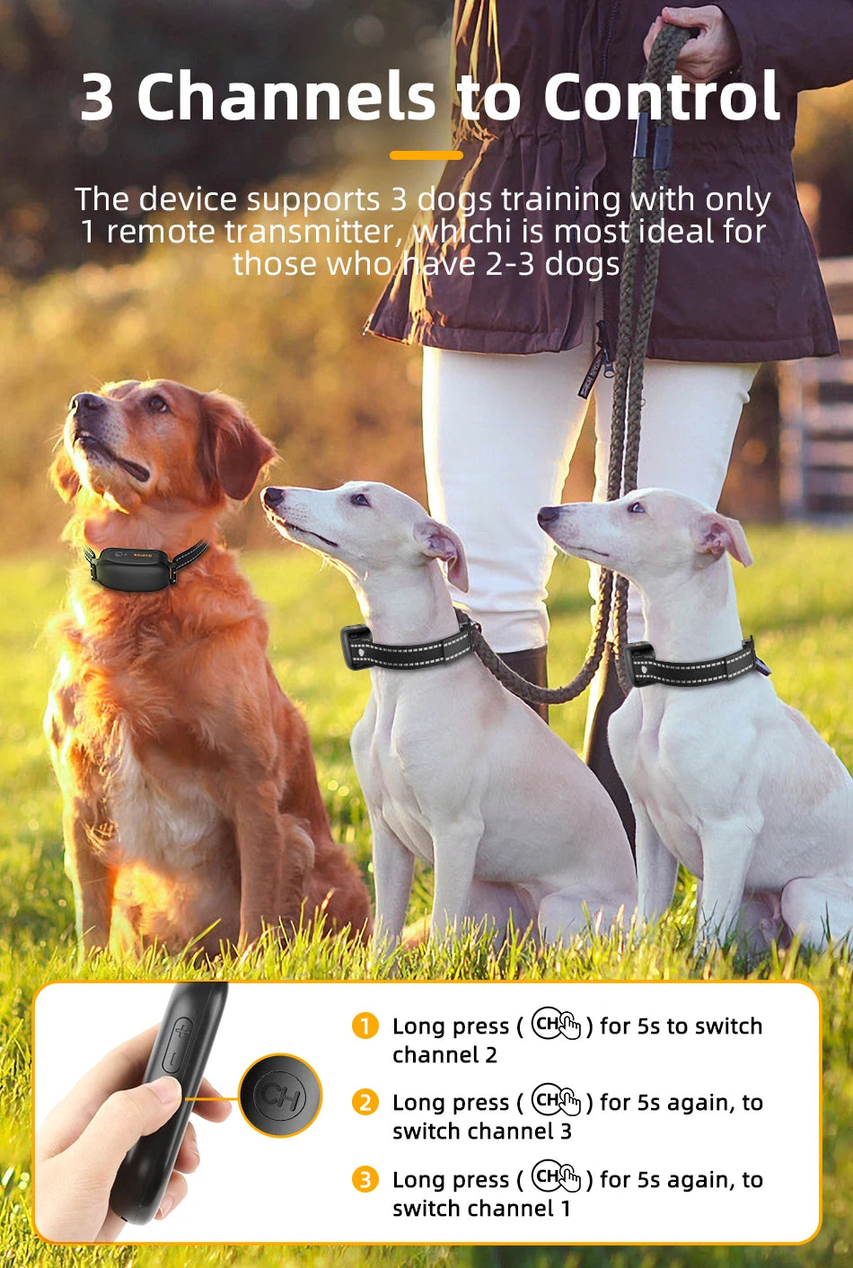 ROJECO Remote Dog Training Collar