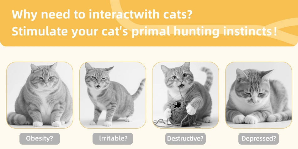 ROJECO 3-in-1 Interactive Cat Toy