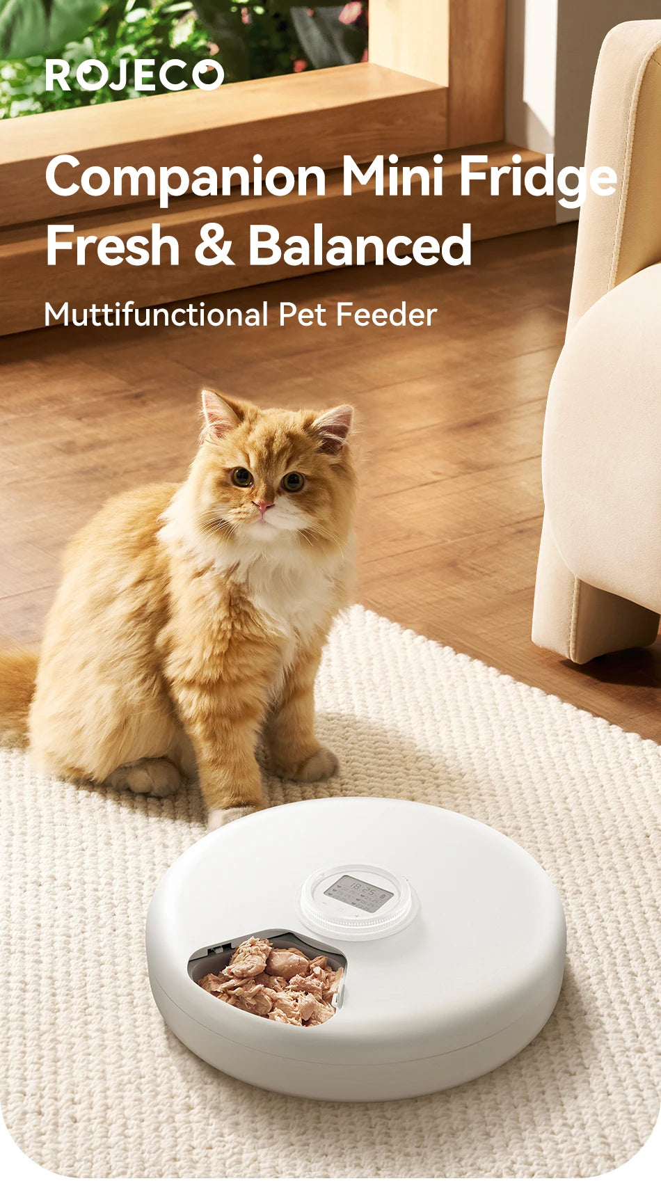 ROJECO Automatic Cat & Dog Feeder