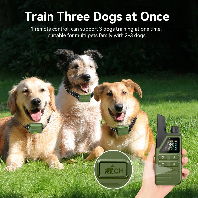 ROJECO DOG800 Training Collar